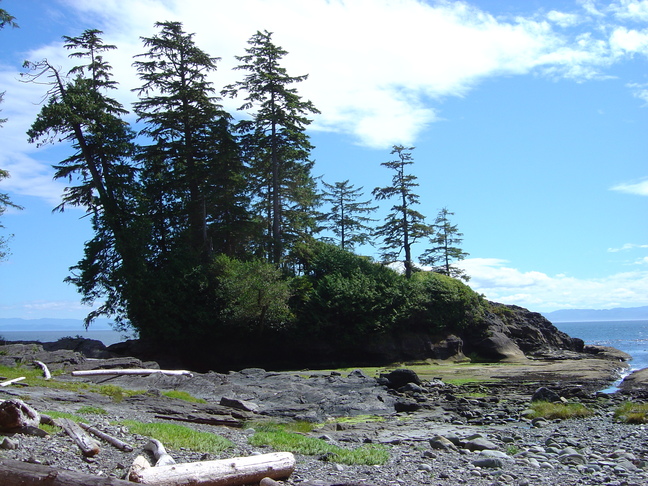 DSC01796